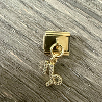 Capricorn